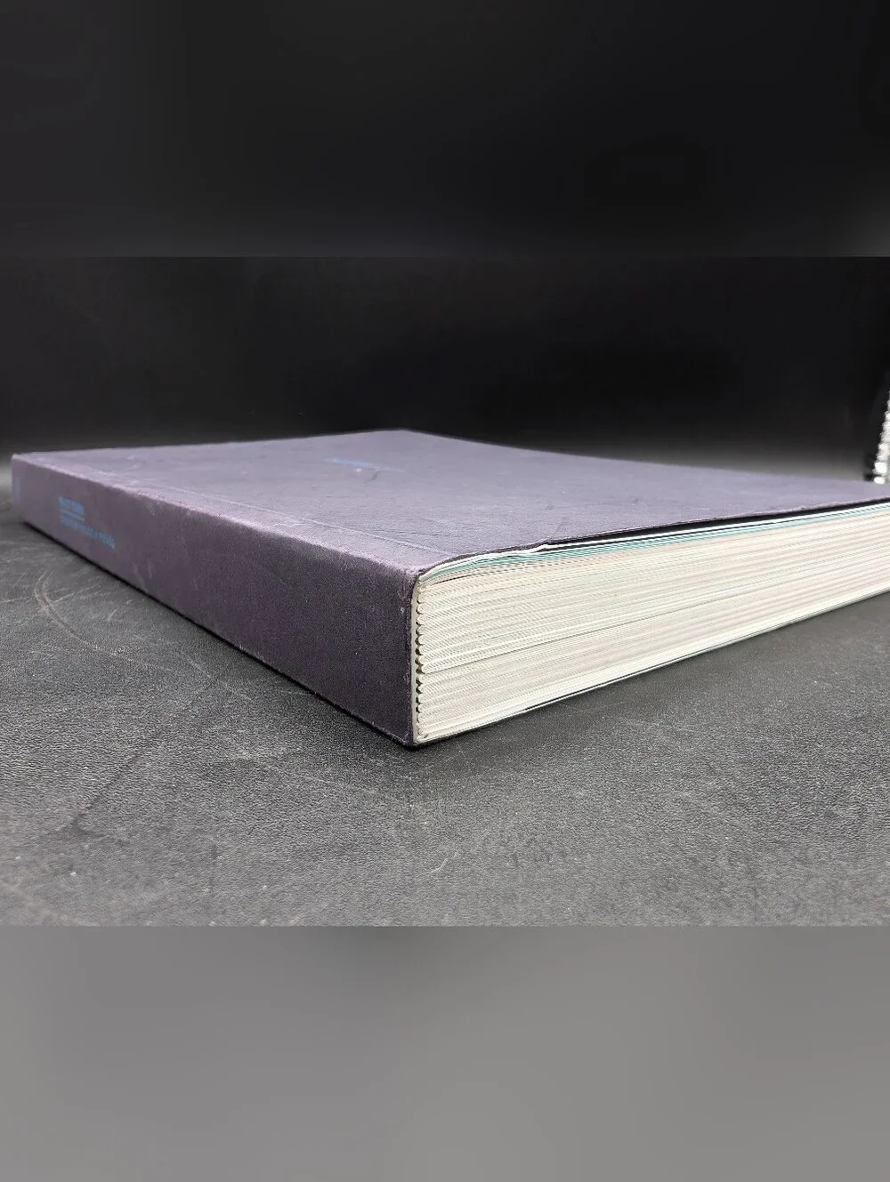Waist Down; Skirts by Miuccia Prada. 1st Edition, 2004